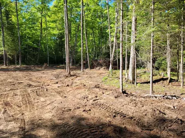 Phelps, WI 54554,2882 SOUTH SHORE ROAD