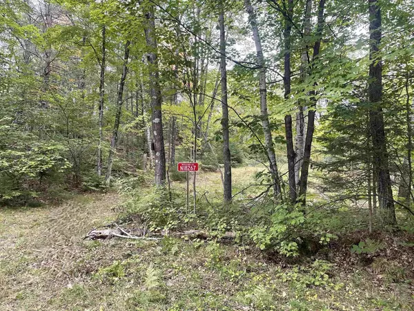 N18267 WOODLAND LANE, Dunbar, WI 54119