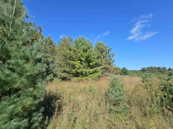 Iola, WI 54945,PAGEL ROAD