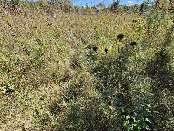 Iola, WI 54945,PAGEL ROAD