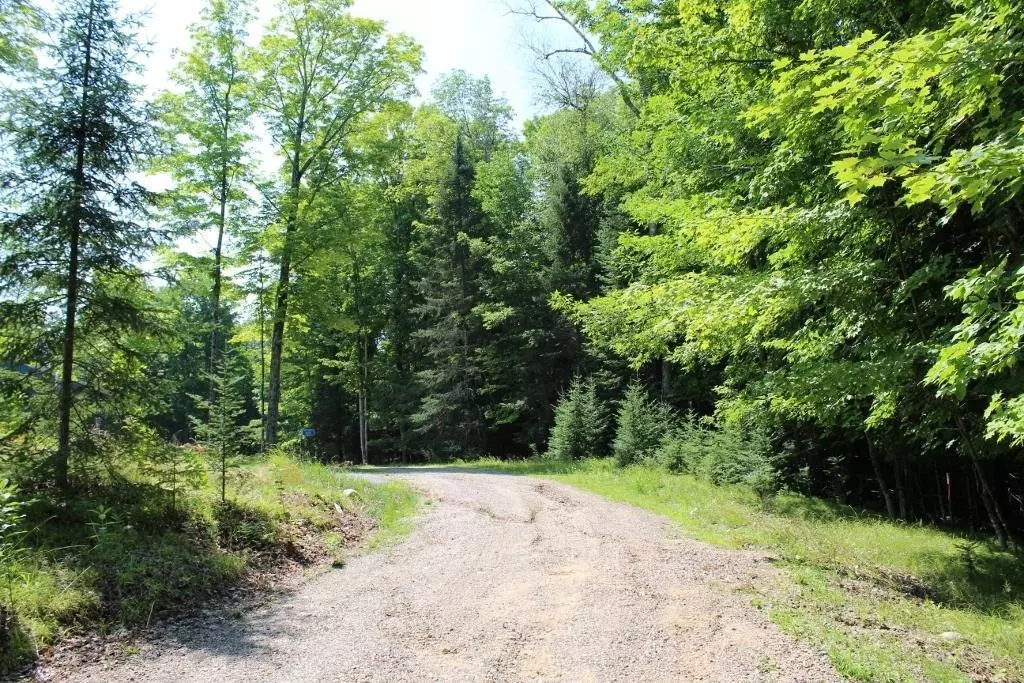 Pickerel, WI 54465,FOREST LANE