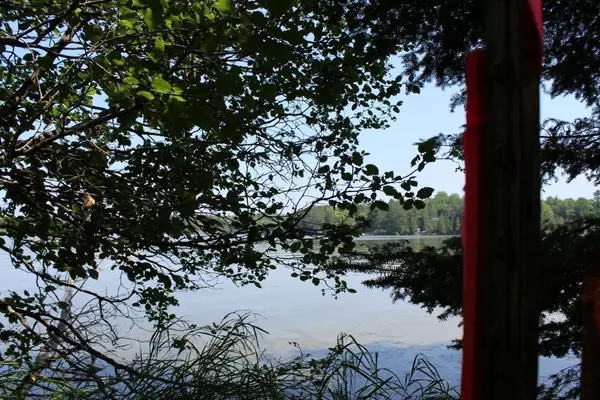 Pickerel, WI 54465,FOREST LANE