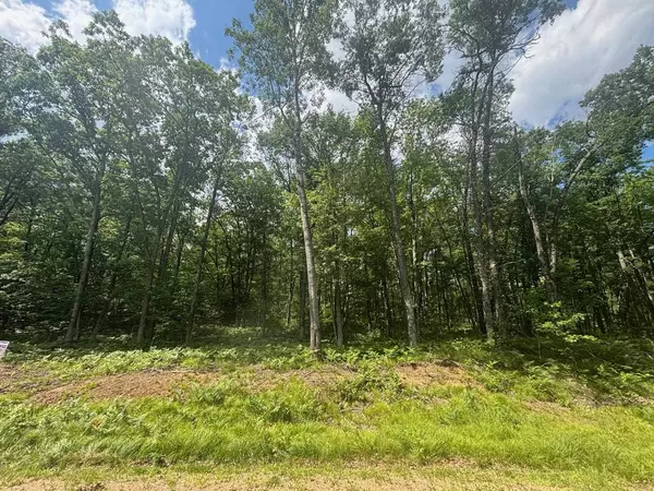 Amberg, WI 54102,SWAN BAY ROAD