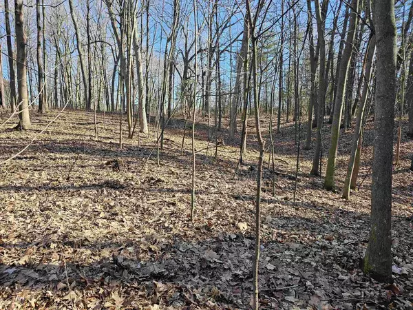 Manawa, WI 54949,RIDGEWAY HEIGHTS