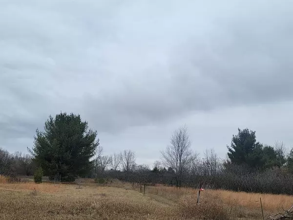Oconto Falls, WI 54154,SHERIDAN STREET