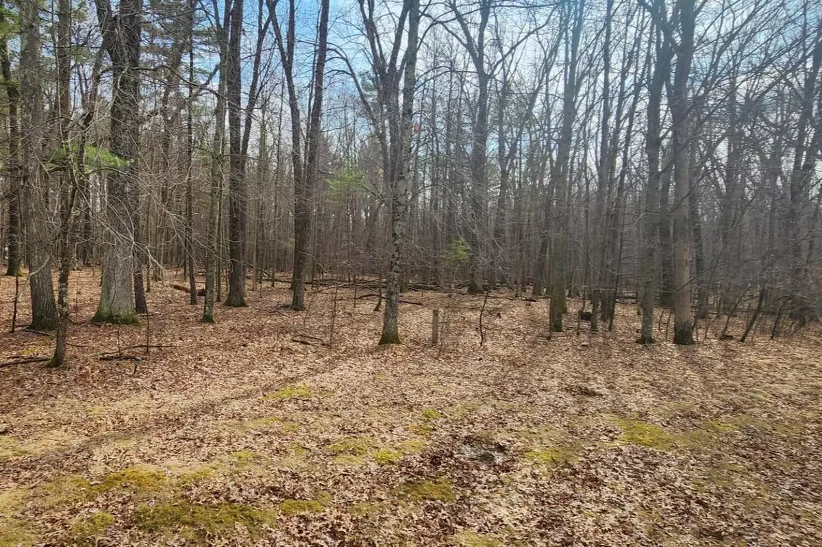 Arkdale, WI 54613,S BADGER LANE