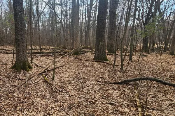 Arkdale, WI 54613,S BADGER LANE