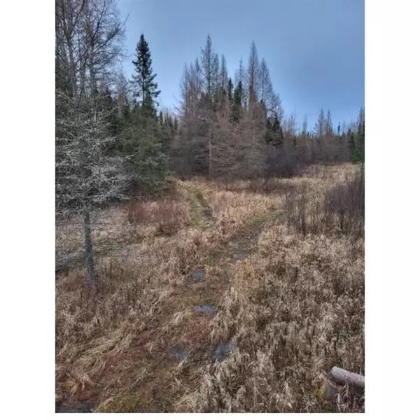 Glidden, WI 54527,20403 KEMPF ROAD