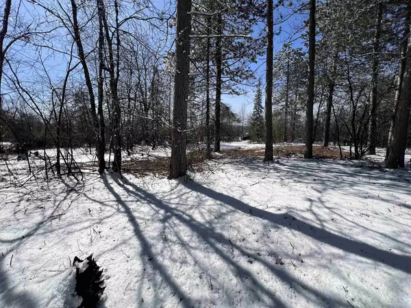 Crivitz, WI 54114,W8890 MANOR LANE