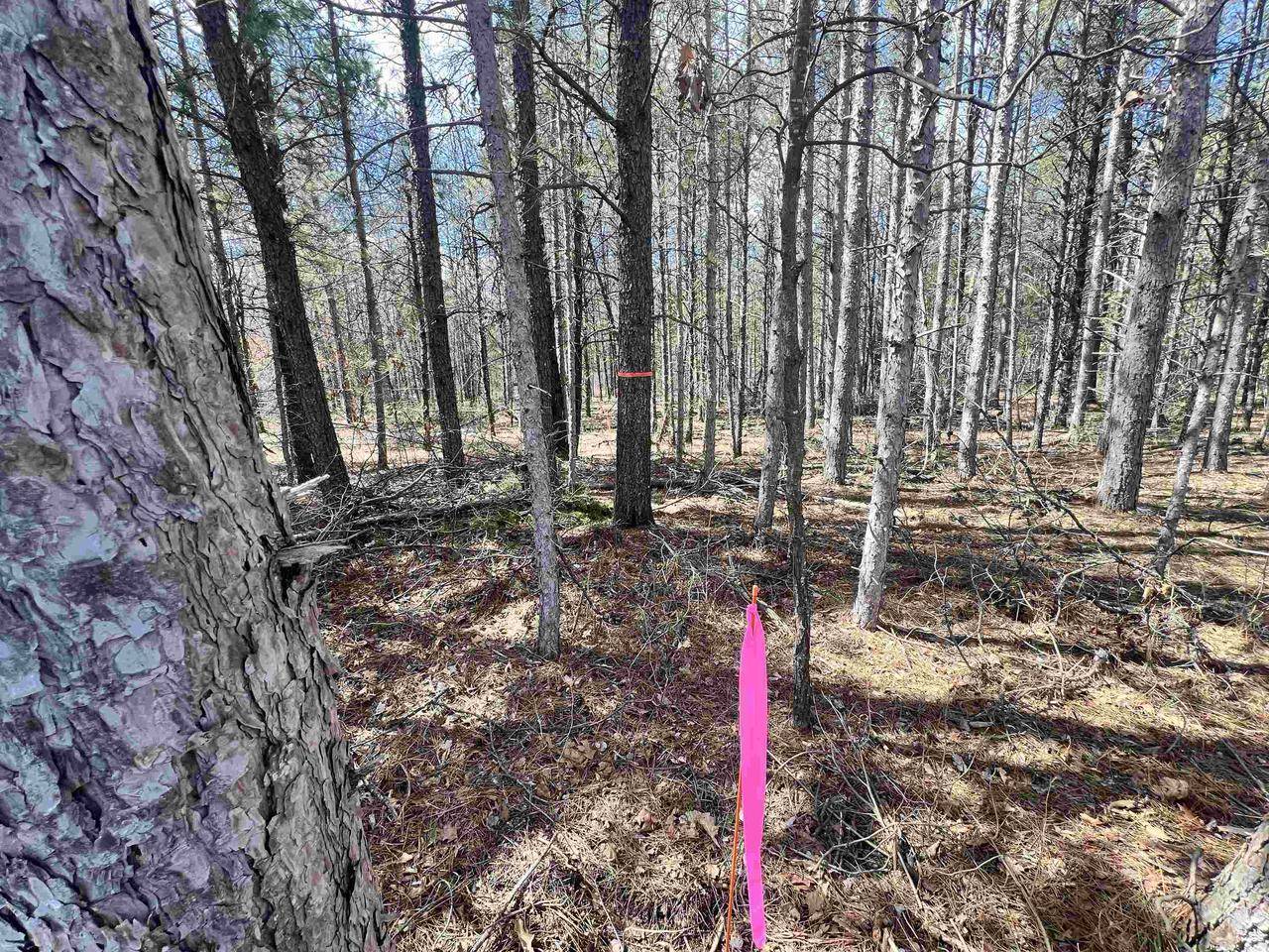 MICKEY ROAD, Crivitz, WI 54114