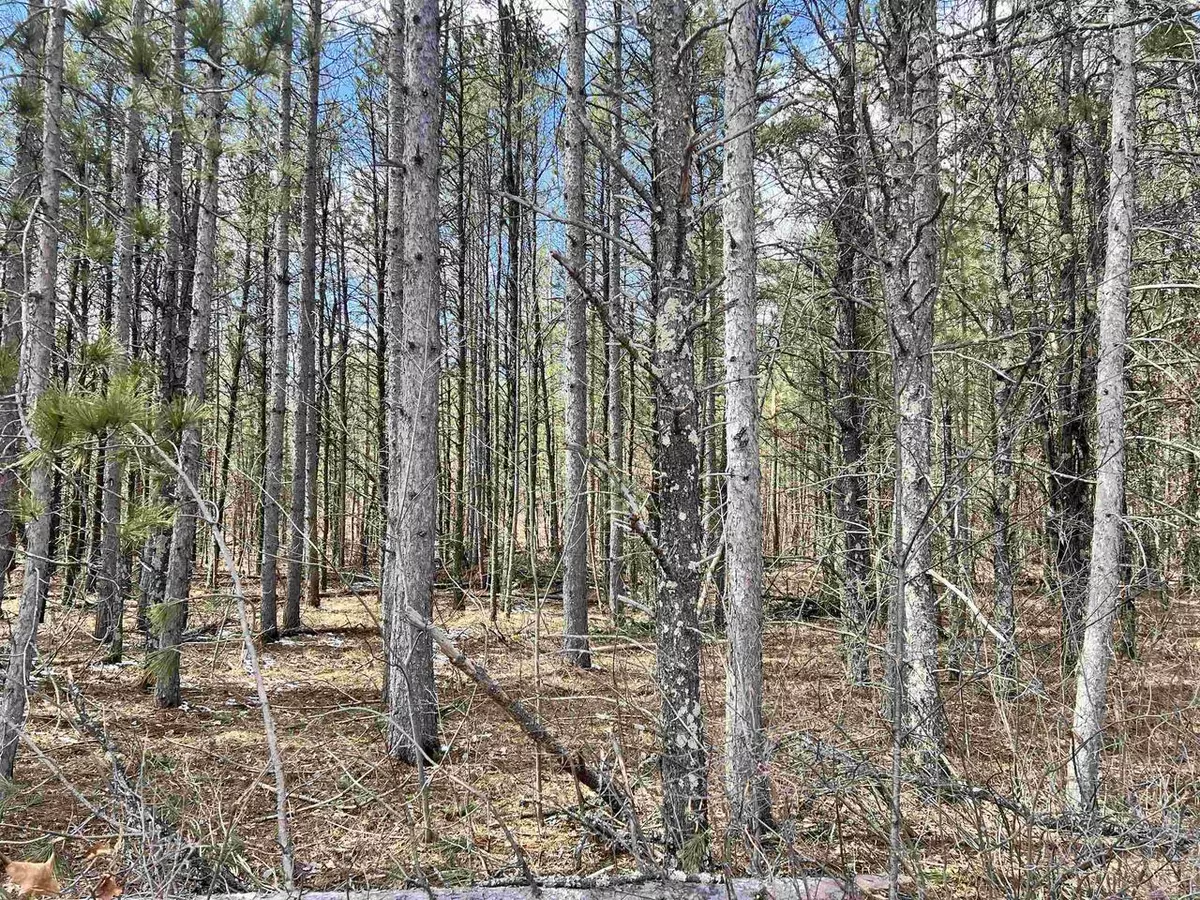 Crivitz, WI 54114,MICKEY ROAD