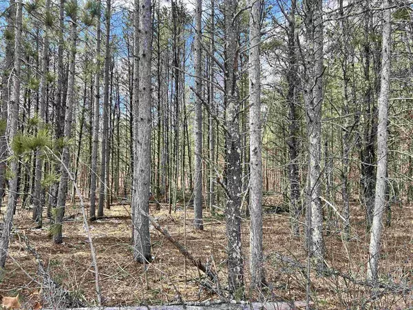 MICKEY ROAD, Crivitz, WI 54114