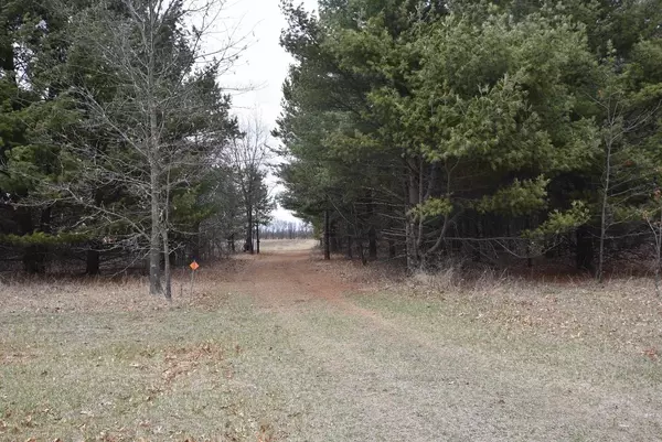 Hancock, WI 54966,W13052 BEECHNUT AVENUE