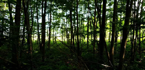 HWY 114, Sherwood, WI 54169
