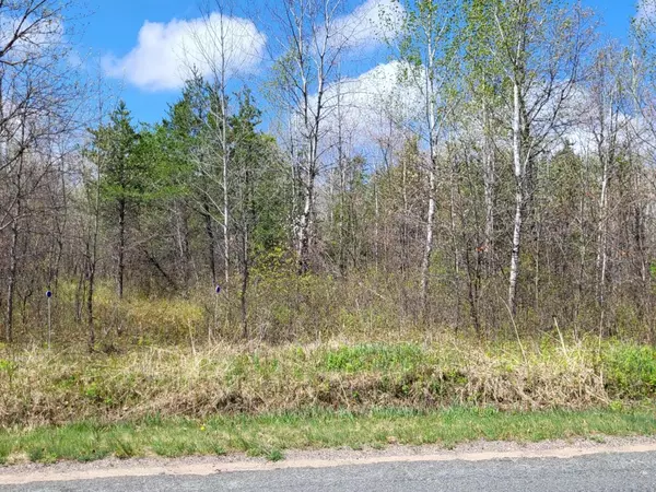 TOWER LINE ROAD, WI 54156