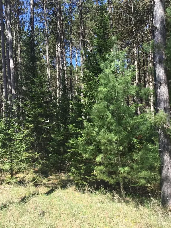 Crivitz, WI 54114,OLD ORCHARD TRAIL