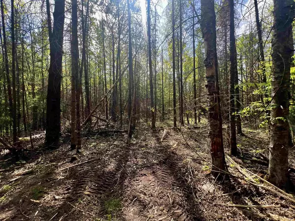 Amberg, WI 54102,BERGESON LANE