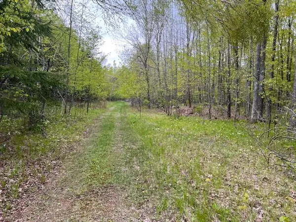 MAPLE AVENUE, Goodman, WI 54125