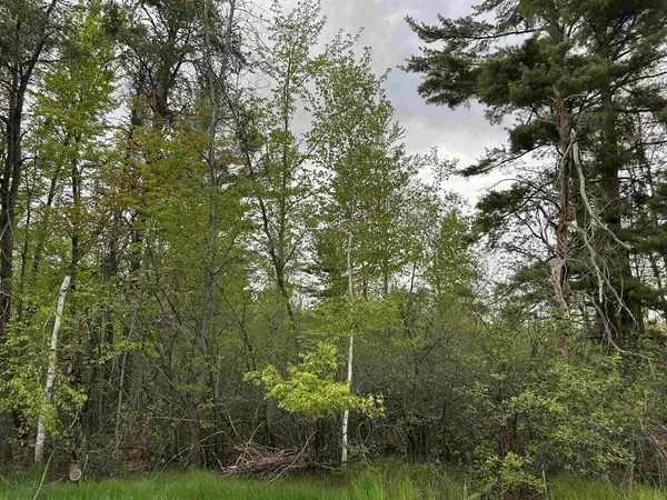 MCGRAW STREET, Peshtigo, WI 54157