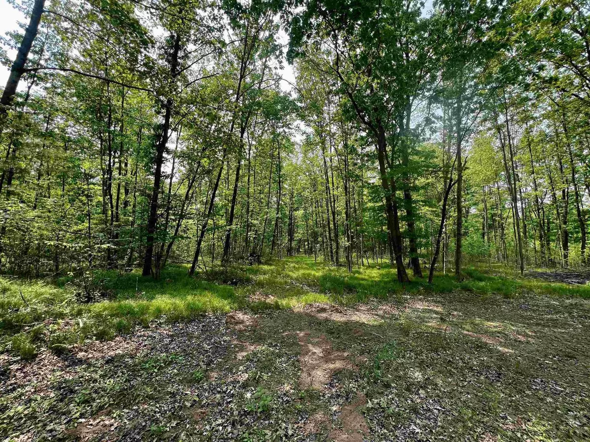 Wausaukee, WI 54177,RHETT LANE
