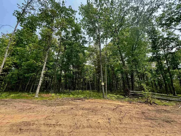 Wausaukee, WI 54177,RHETT ROAD