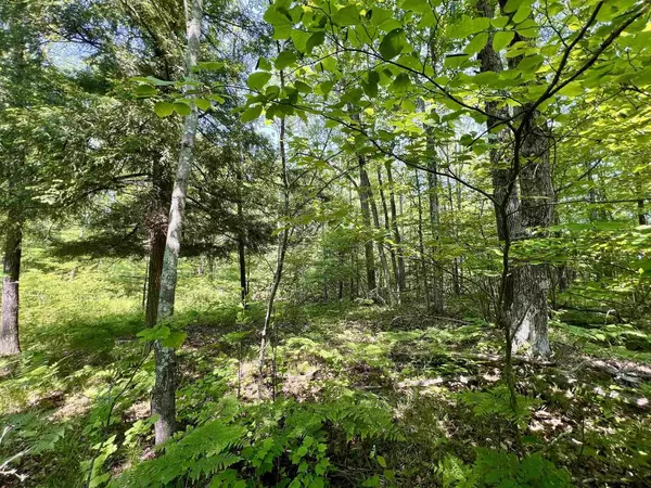 Wausaukee, WI 54157,KAFKA ROAD