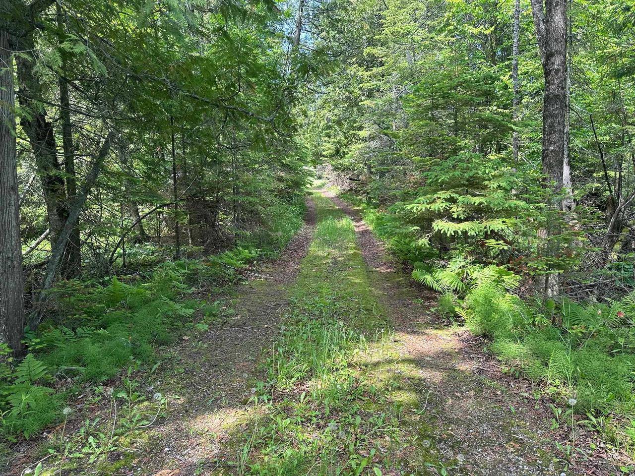 Cedar River, MI 49887,N8389 OLD MILL 20.75 LANE