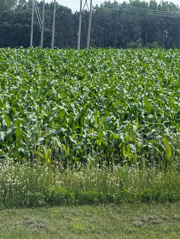 BUELOW ROAD, New London, WI 54961