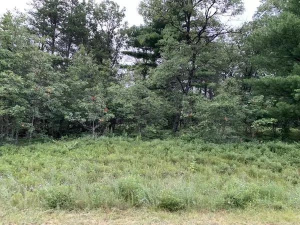 WINCHESTER TRAIL, Crivitz, WI 54114