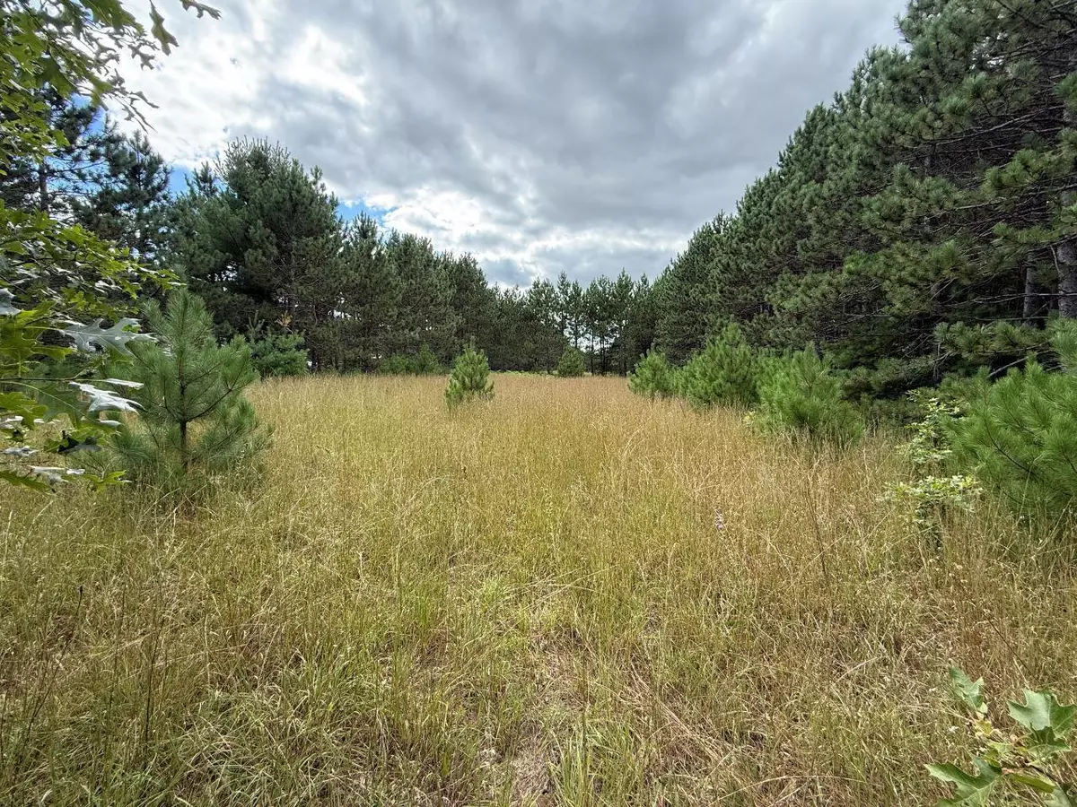 Clintonville, WI 54929,SPRUCE ROAD