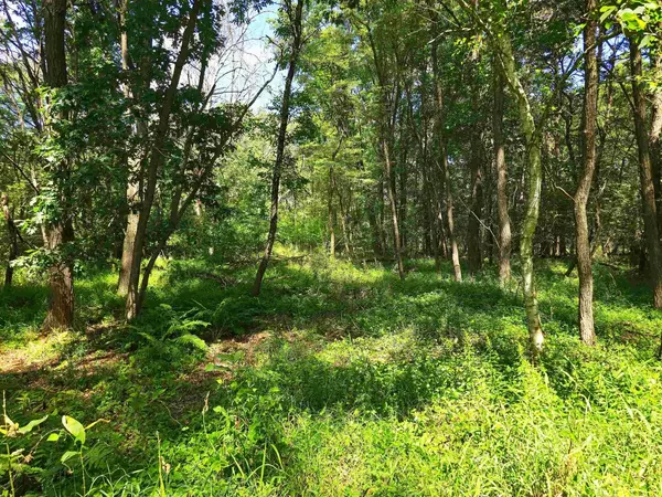 Neshkoro, WI 54960,MEADOW SHORES ROAD