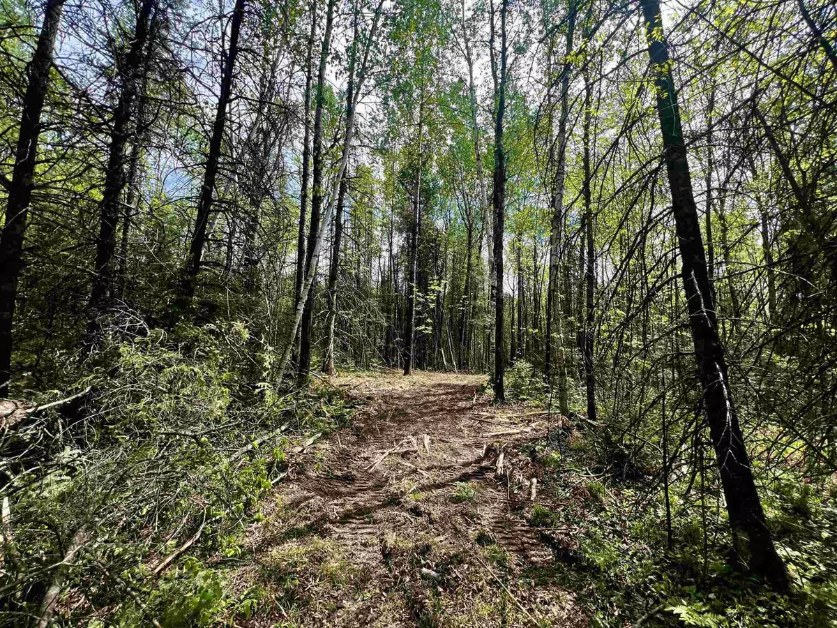 Amberg, WI 54102,BERGESON LANE