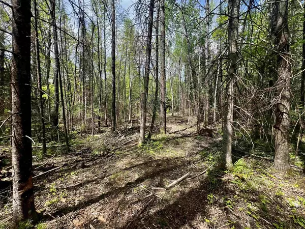 Amberg, WI 54102,BERGESON LANE