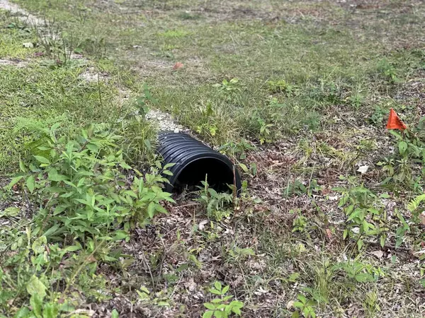 Cecil, WI 54111,N6956 SPRINGBROOK ROAD