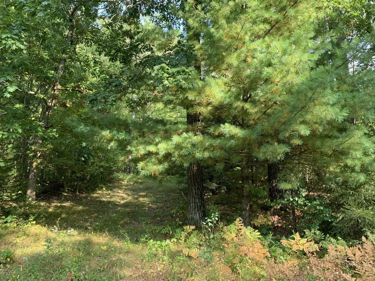 Wautoma, WI 54982,MARLWOOD DRIVE