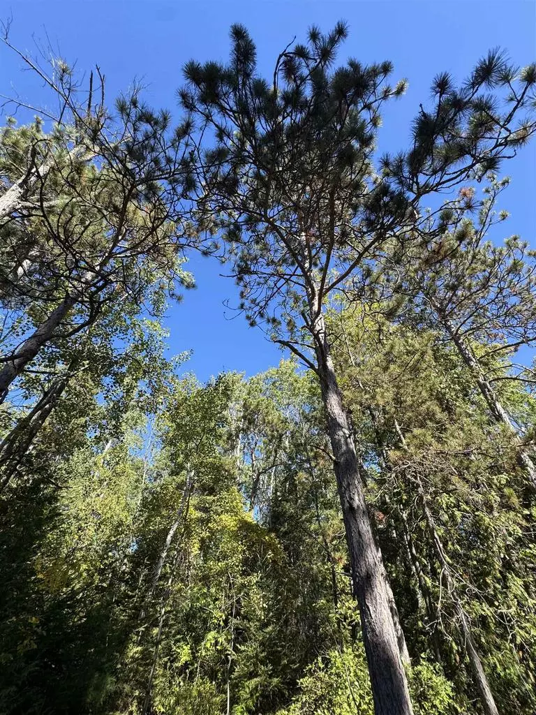 Sturgeon Bay, WI 54325,IDLEWILD WOODS DRIVE