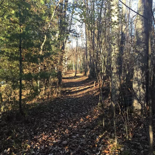 Wausaukee, WI 54177,N11169 RADEMAKER ROAD