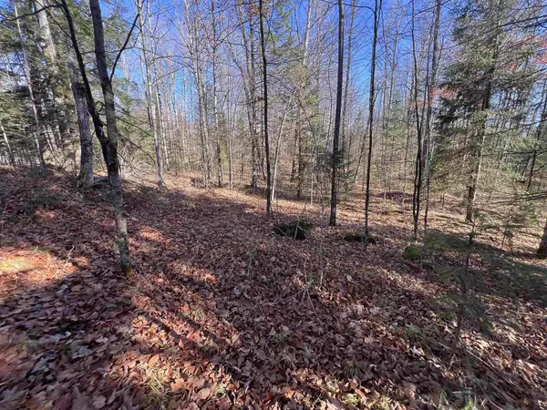 Pembine, WI 54156,JOSSART ROAD