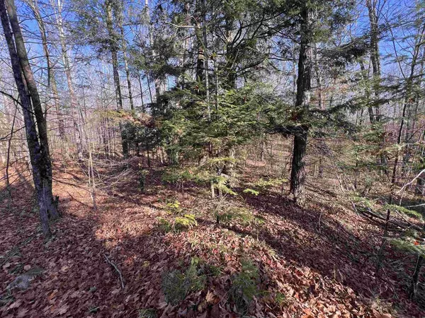 Pembine, WI 54156,JOSSART ROAD