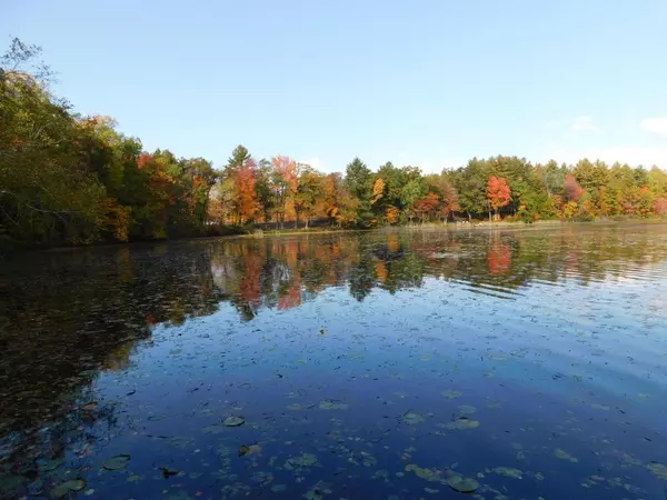 Suring, WI 54174,W606 JOE JOHNSON ROAD