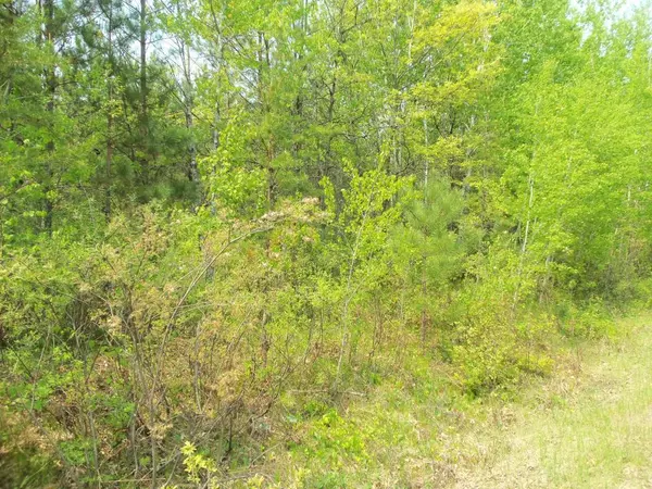 Springbrook, WI 54875,LOT 3 LESTER RD