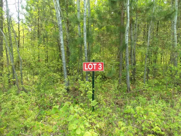 LOT 3 LESTER RD, Springbrook, WI 54875