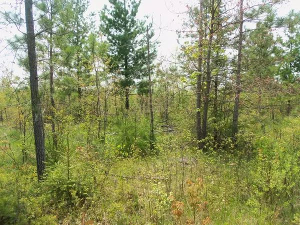 Springbrook, WI 54875,LOT 4 COUNTY RD E