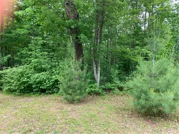 0 NE Long Lake Rd, Birchwood, WI 54817