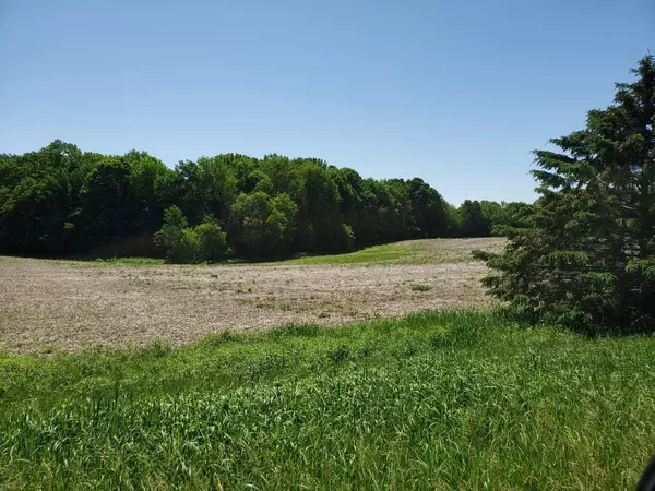 Glenwood City, WI 54013,Lot 12 Surrey Ridge Trl