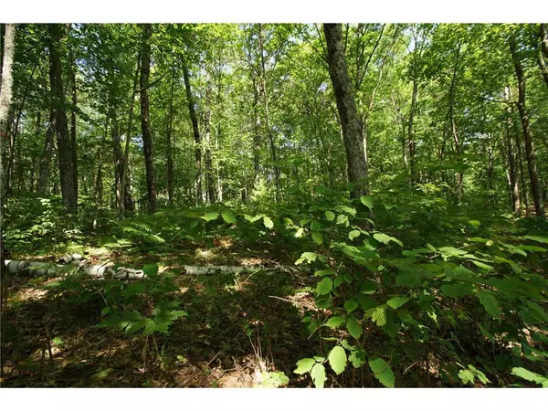 Stone Lake, WI 54876,Lot 18 Jonans Rd