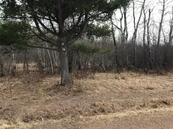 Ladysmith, WI 54848,W8480 Sillman Rd