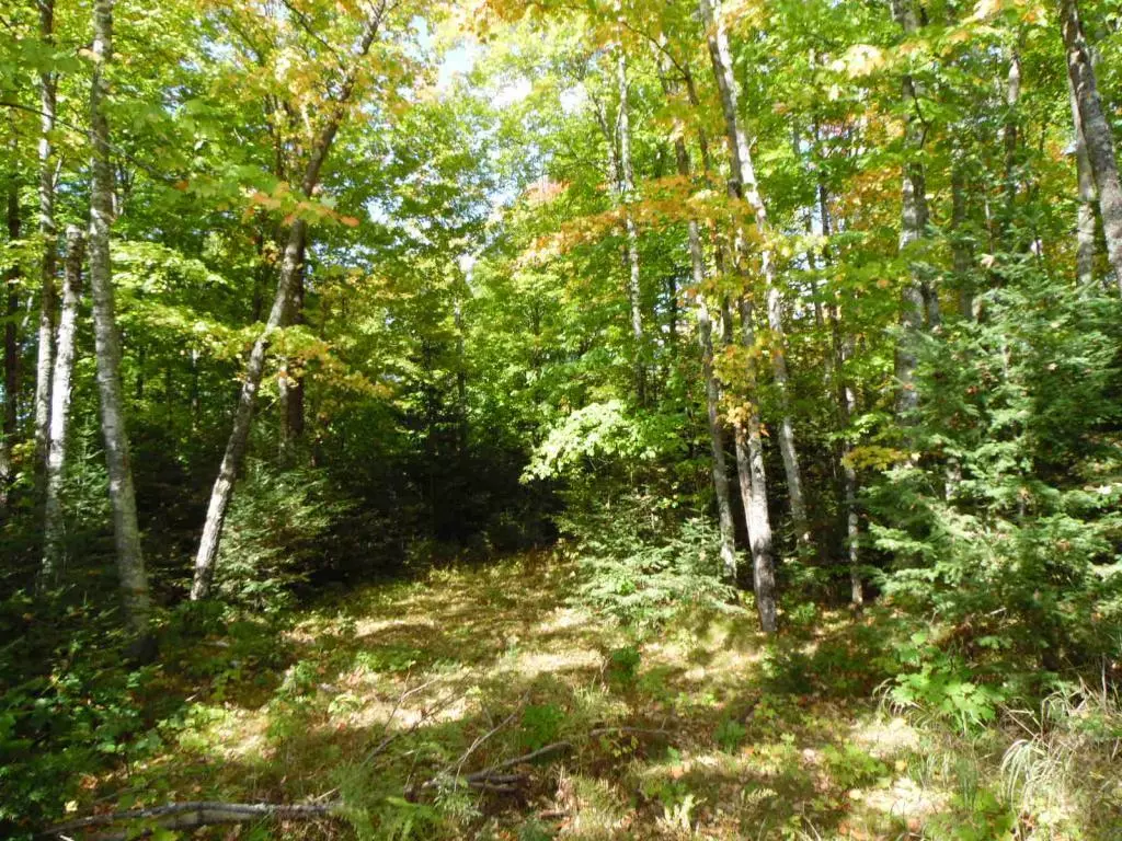 Solon Springs, WI 54873,Lot 0 Pison Rd
