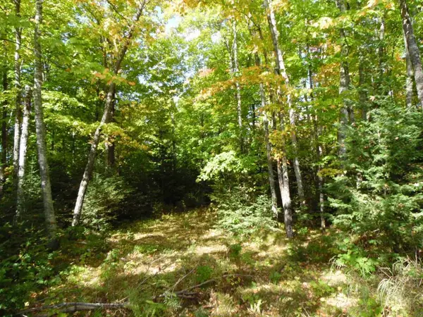 Lot 0 Pison Rd, Solon Springs, WI 54873