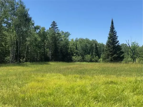 Port Wing, WI 54865,XXX Evergreen Rd